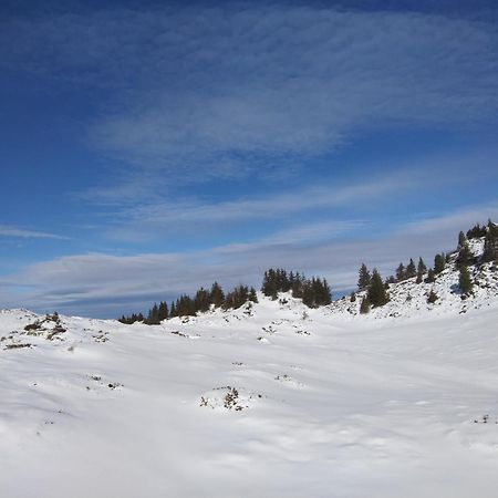Le Chalet Theys Exteriör bild